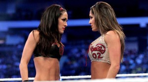 Brie vs. Nikki